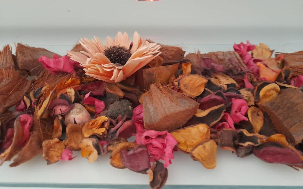 Apartmani Hermes جادريغا المظهر الخارجي الصورة